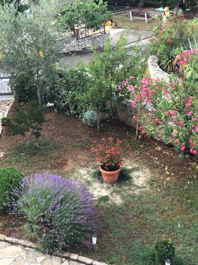 Apartmani Misic Ždrelac 外观 照片