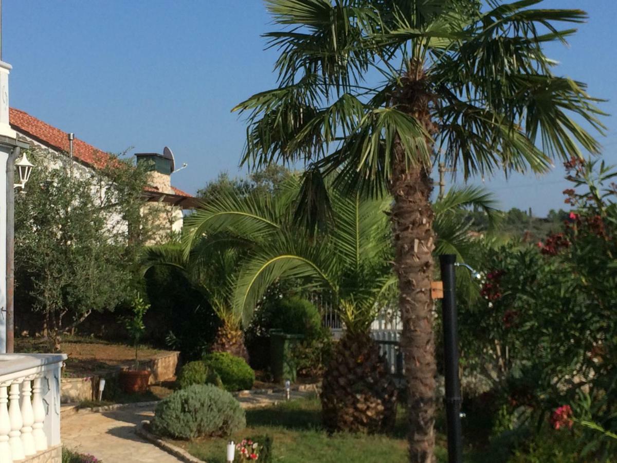 Apartmani Misic Ždrelac 外观 照片